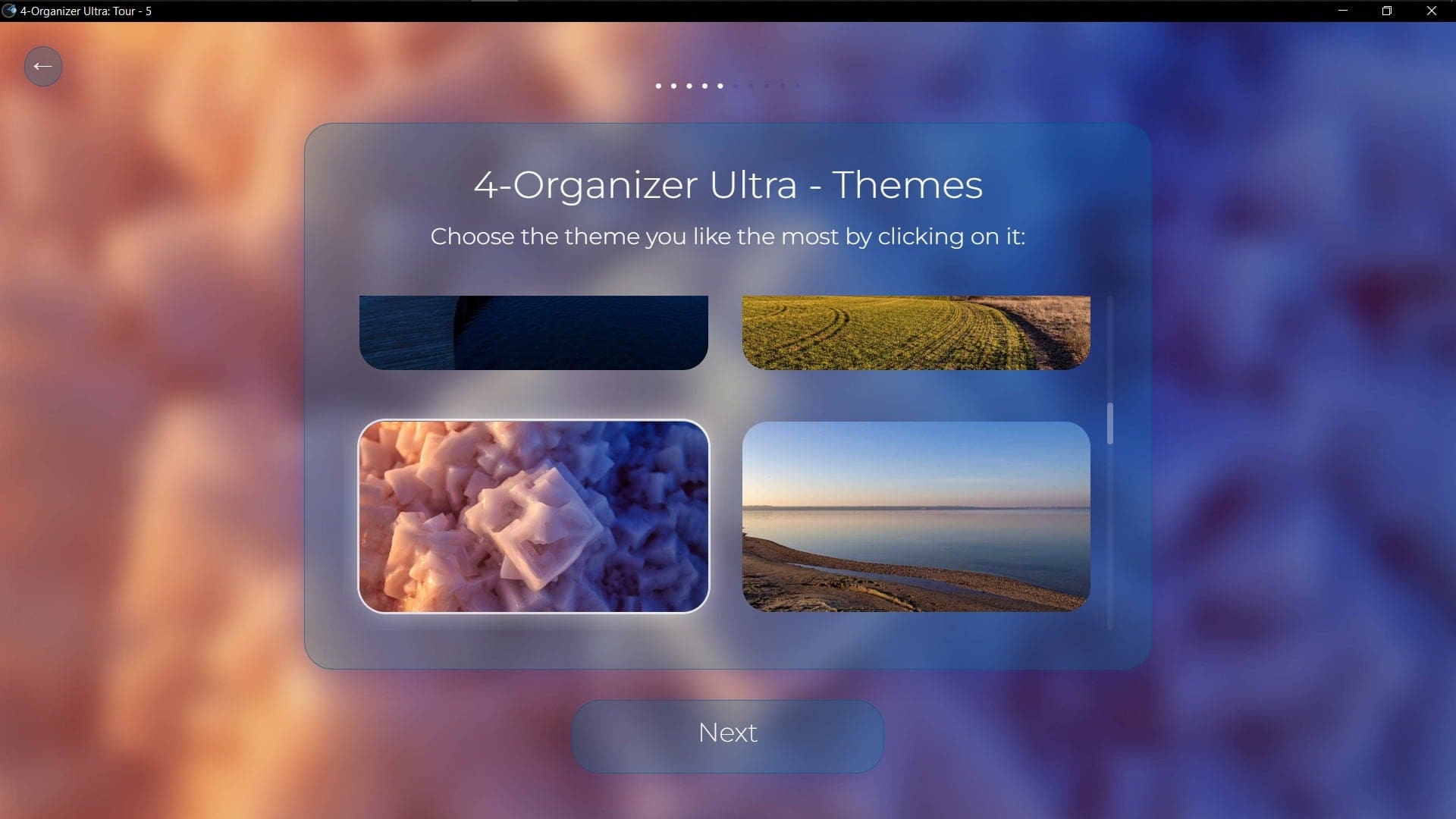 Screenshot of the 'Theme' window of 4-Organizer Ultra
