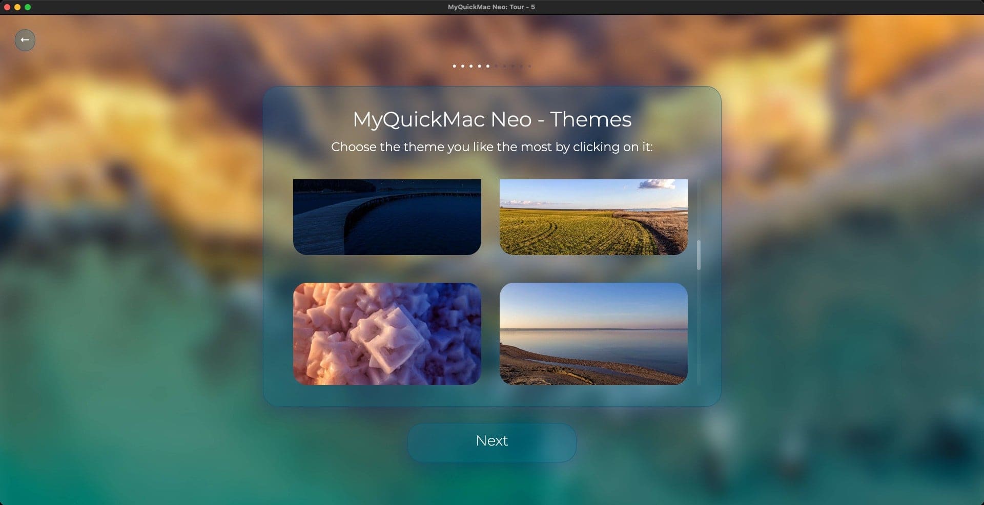 Screenshot of the 'Theme' window of MyQuickMac Neo